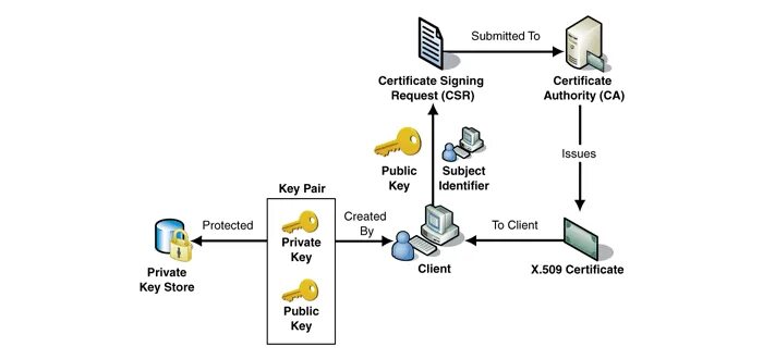 Инфраструктура открытых ключей. PKI. Кросс-сертифицированные корпоративные PKI. PKI объекты.