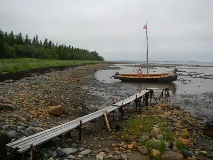 Белое море охота