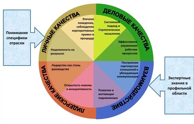 5 групп навыков. Управленческая компетенция руководителя отдела. Модель управленческих компетенций. Универсальная модель компетенций SHL. Навыки умения компетенции руководителя.