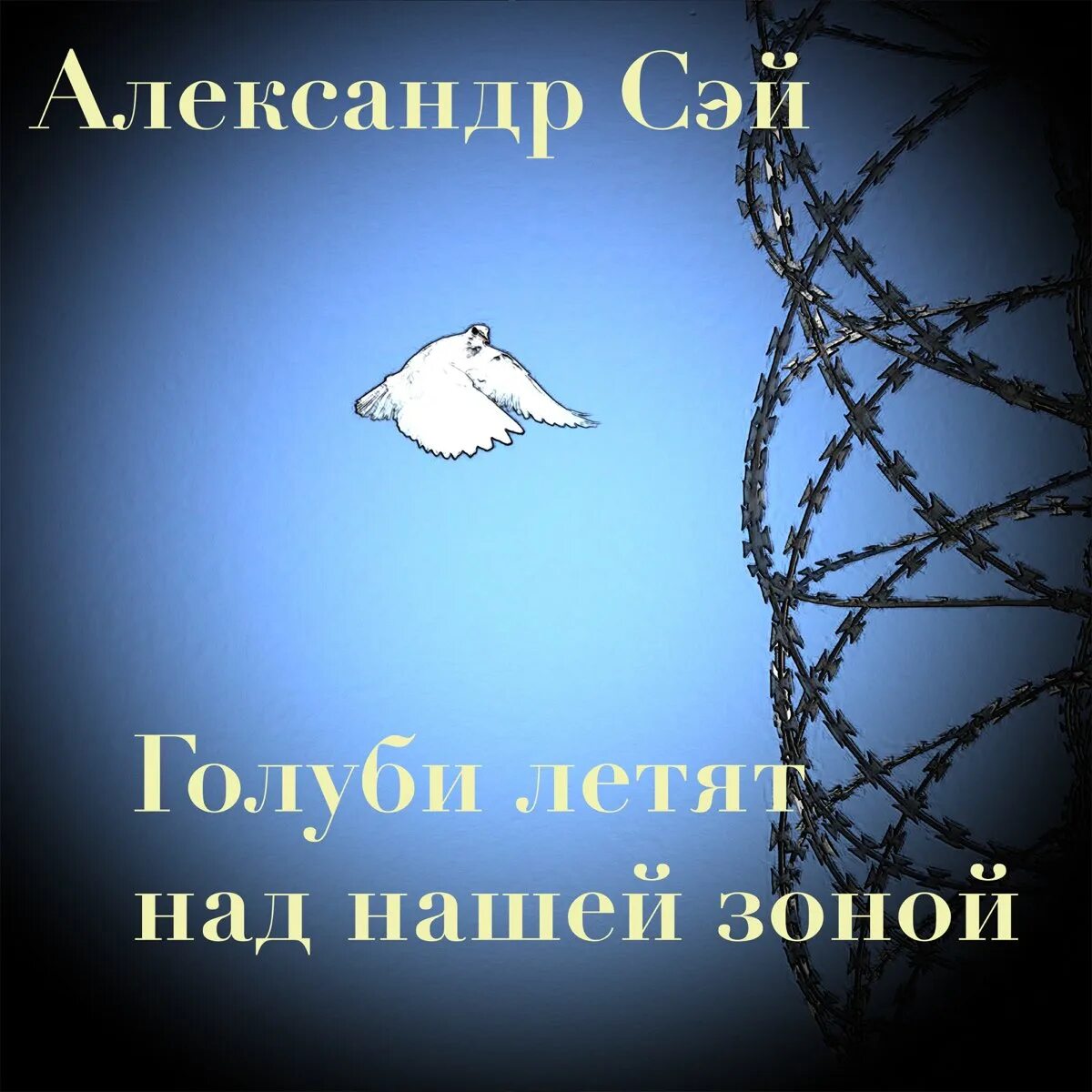 Голубь летит. Красивые высказывания о голубях. Голубь пикассо. Голубям нигде преграды нет. Голубям нигде преграды нет.
