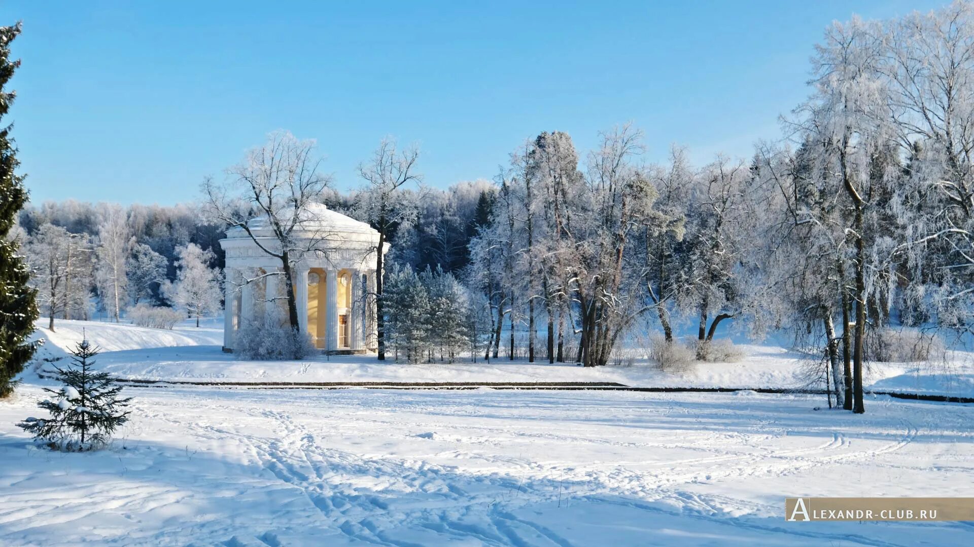 Фото: В Павловске. Фотограф Сергей Григорьев. Панорама. Фотосайт Расфокус.ру