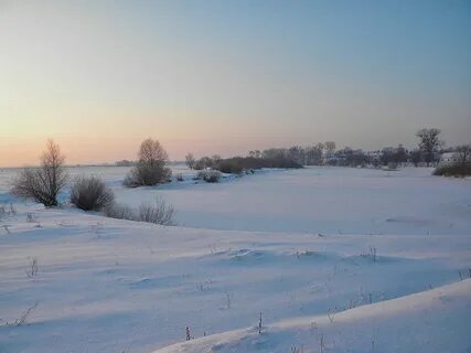 Январь 2011