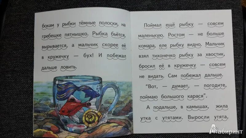 Кружечка под елочкой читательский дневник. Кружечка под елочкой читательский дневник. Кружечка под елочкой читательский дневник. Кружечка под елочкой читательский дневник. Сказка кружечка под ёлкой.