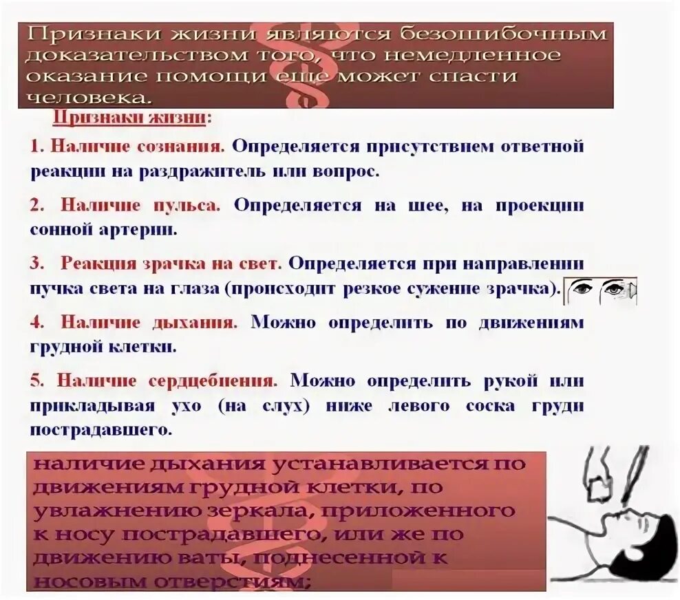 Как понять жив или мертв