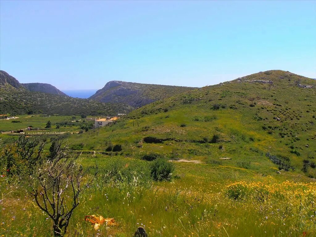 Земля афины. Земельный участок в афинах. Земля в афинах. Афины саронида. Земельный участок в афинах.