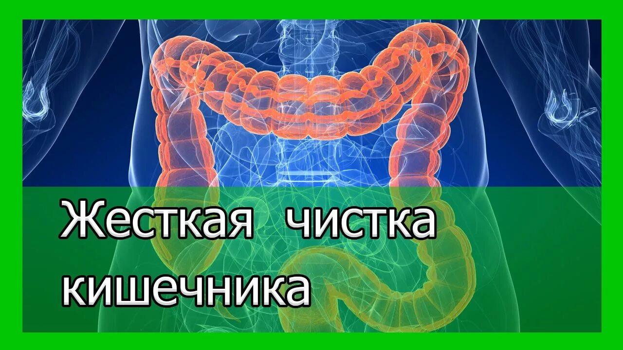 Народная чистка кишечника. Прямой кишечник чистка.