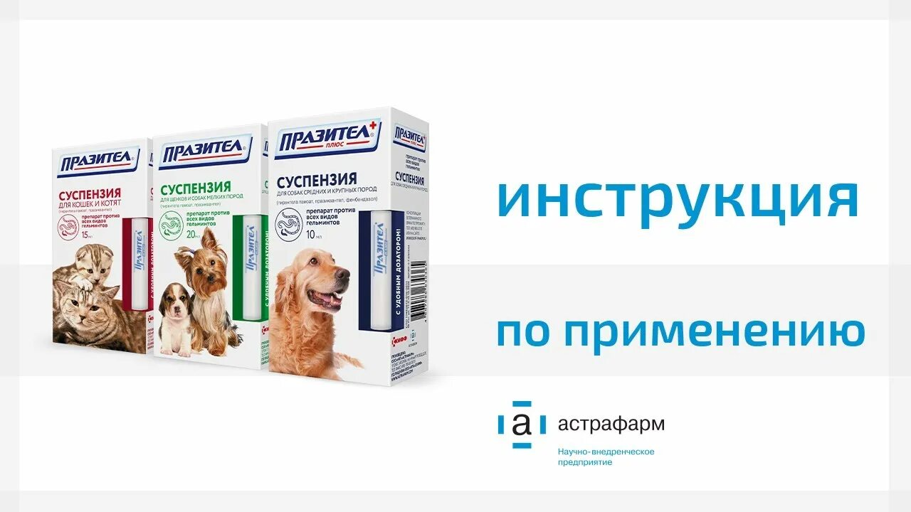 Празител для собак инструкция по применению суспензия. Празител суспензия. паразител суспенщия для кошек собак. празител суспензия для собак. празител суспензия для кошек.