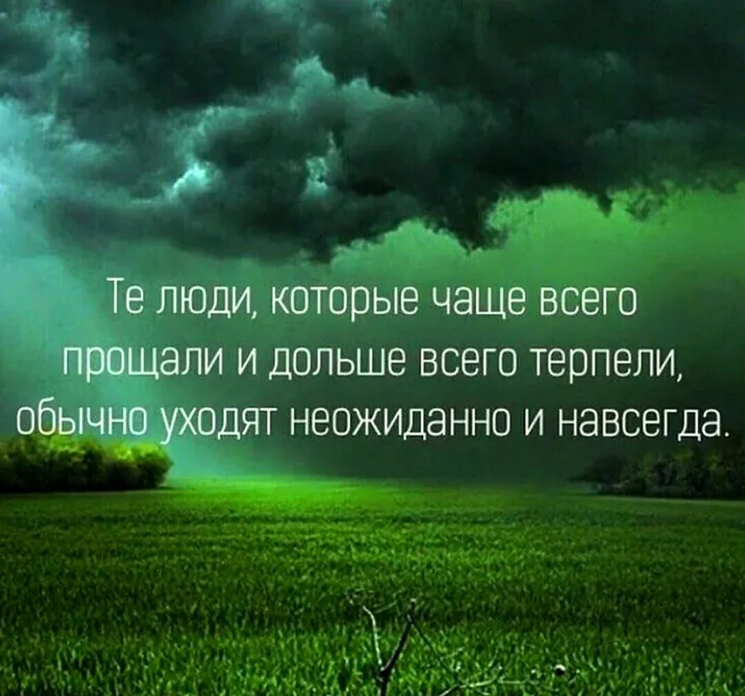 Жизнь своими словами высказывание. Мудрые цитаты. Умные цитаты. Умные мысли и высказывания. Мудрые фразы.