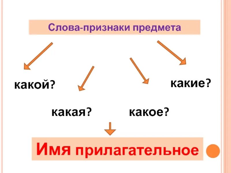 Найти в тексте слова признаки. Слова признаки. Признак предмета какой какая какое какие. Какой какая какое какие. Слова признаки какой какая.