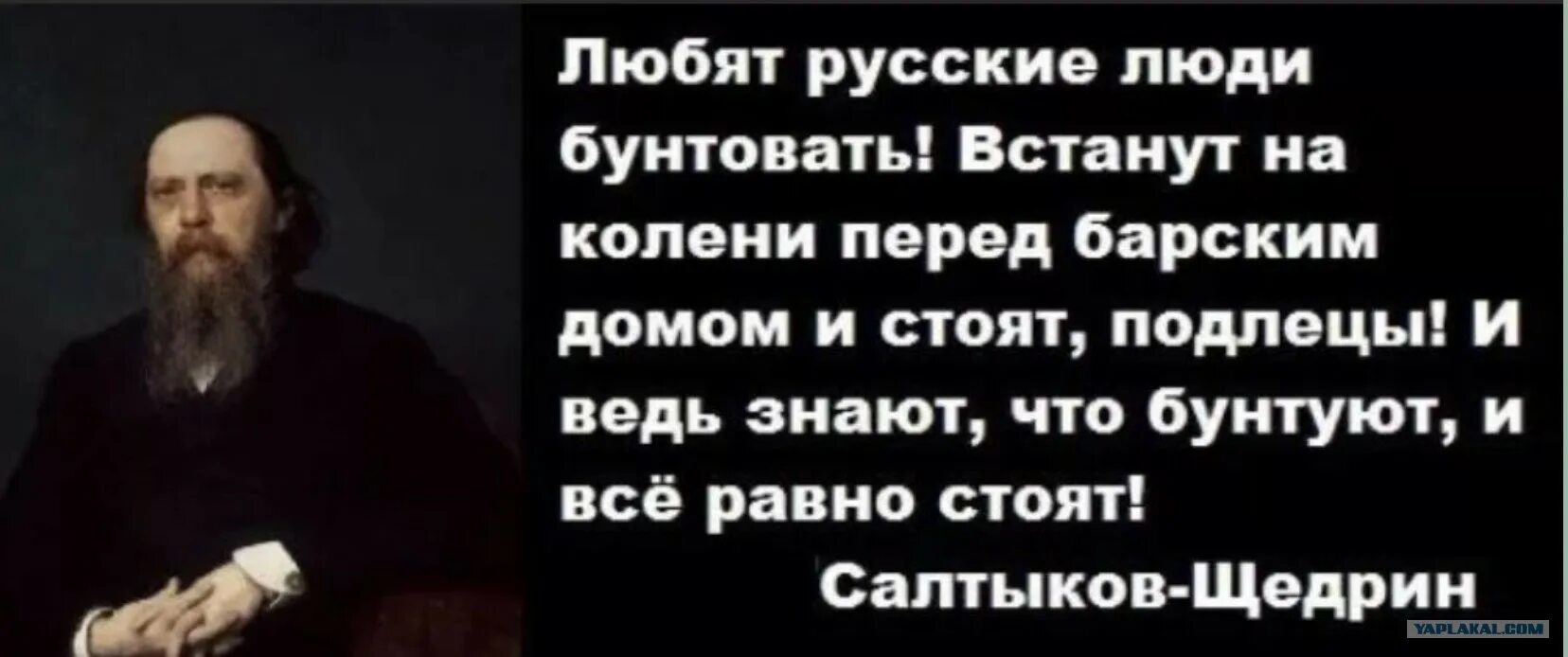 Салтыков-Щедрин любит русский народ бунтовать. Салтыков Щедрин бунтуют на коленях. Салтыков Щедрин любят русские бунтовать. Встанут на колени и бунтуют.