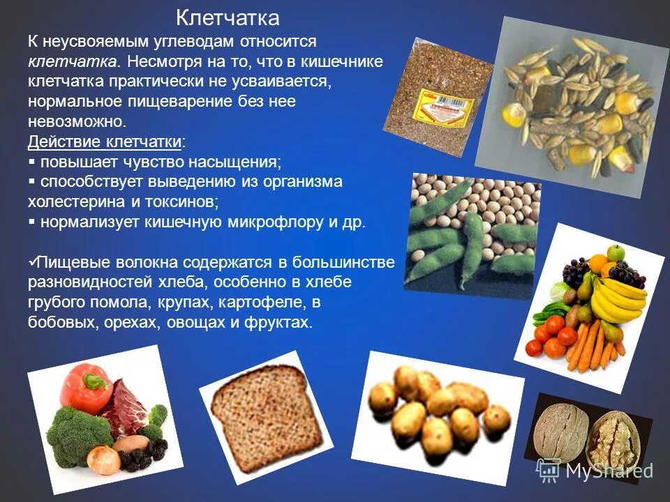 Белок и растительная клетчатка. Продукты. Сложные углеводы клетчатка. Сложные углеводы клетчатка и белки. Источники сложных углеводов.