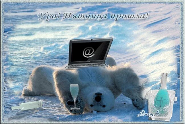 Открытки с зимней пятницей. С зимней пятницей. Картинки с добрым утром зимние пятница прикольные. Открытки с зимней пятницей. С добрым зимним утром пятницы.