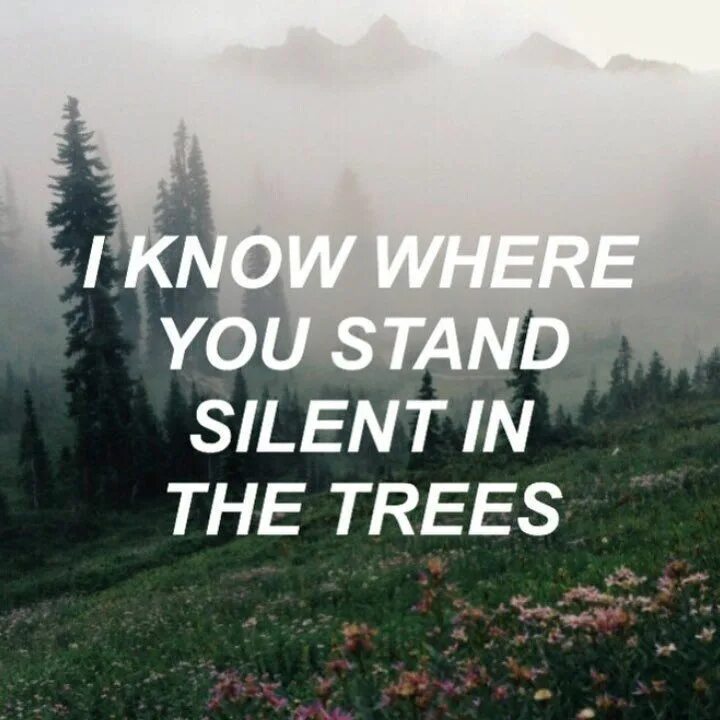 Trees twenty one Pilots. Know where you Stand. Stand in Silence. Forest twenty one Pilots перевод.