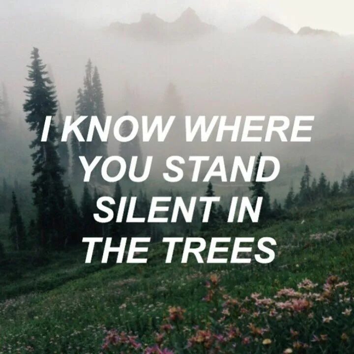 Trees twenty one Pilots. Know where you Stand. Stand in Silence. Forest twenty one Pilots перевод. Do you know where you live