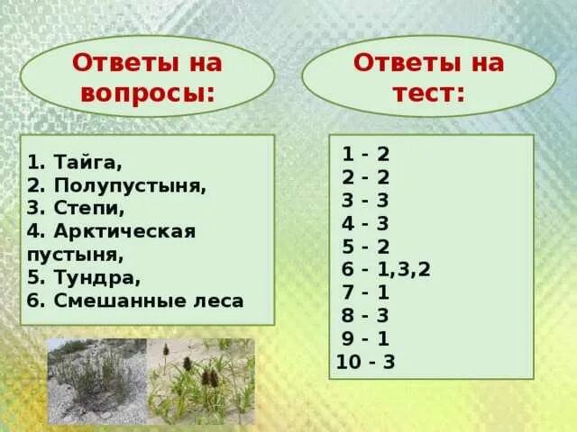 Тест по теме природные зоны 1 вариант. Вопросы о природных зонах россии с ответами. вопросы по природным зонам россии. вопросы на тему природные зоны. вопросы о тайге с ответами.