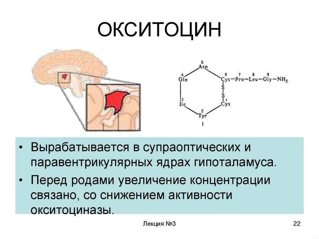 Окситоцин. Окситоцин гормон вырабатывается. Окситоцин гормон формула. Окситоцин строение.