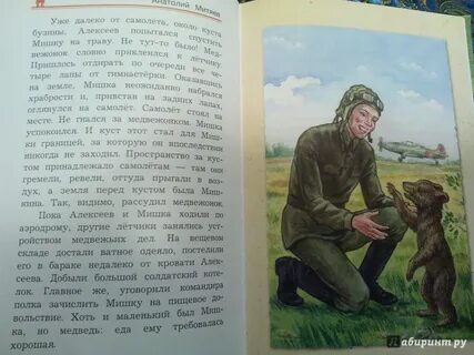 Митяев гвардии медвежонок