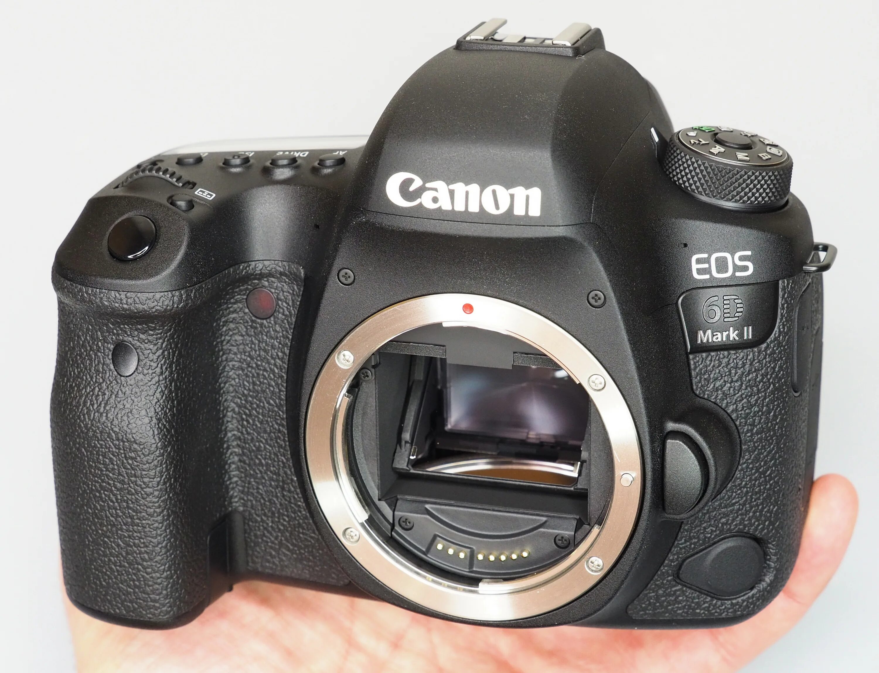 Canon eos 6d body цены. Canon 6d Mark 2. Canon EOS 6d Mark II. Canon EOS 6d Mark II body. Видоискатель Canon 6d Mark 2.