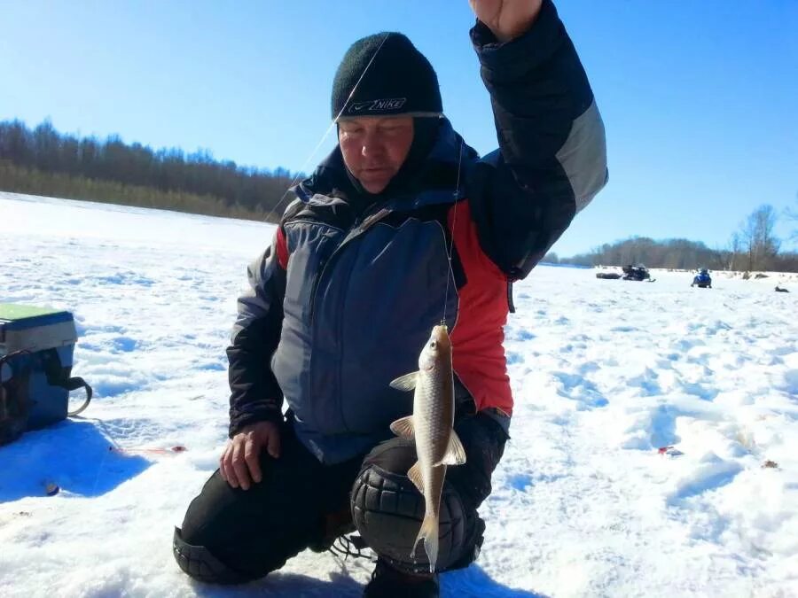 Алтайская рыбалка сайт. Каргаполово Сузунский район. Рыбалка на Алтае. Клевое место рыбалка Алтай. Алтайский край клевое место рыбалка.