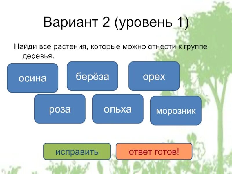 Общие признаки растений. 3 уровень растения. Все растения арены. 3 уровень растения. 3 уровень растения.