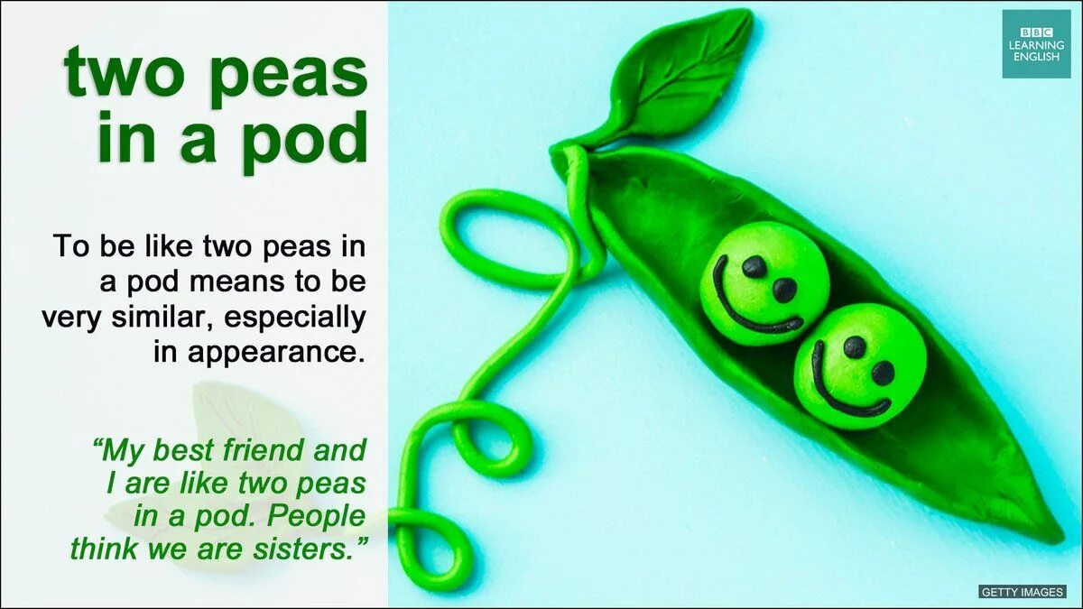 Like meaning. Like two Peas идиомы. Two Peas in a pod. Like two Peas in a pod. Like two Peas in a pod идиома.