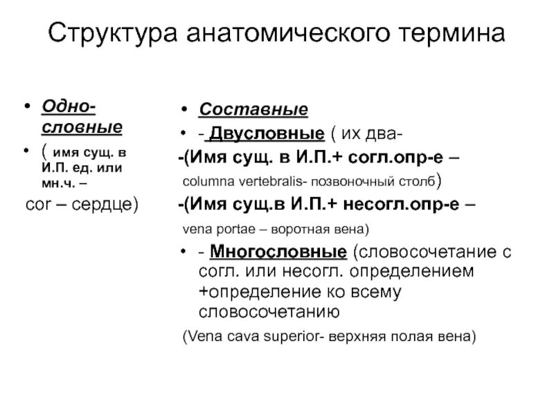 Дыхание латынь термин. Структура анатомического термина в латинском языке. Структура терминов латинского языка. Этимология анатомических терминов. Анатомическая терминология.