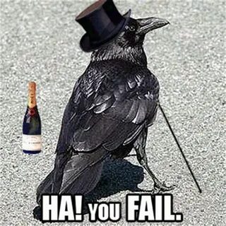 Raven meme
