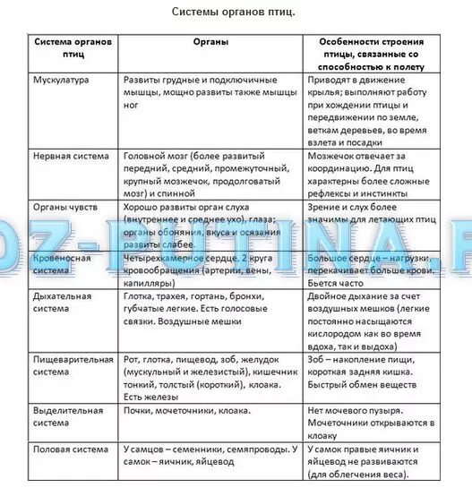 Таблица птицы 7 класс биология строение. Внутреннее строение птиц таблица система органы функция. Системы органов птиц таблица 7 класс биология. Внутреннее строение птиц таблица система органов строение и функции. Таблица по биологии 7 класс внутреннее строение птиц система органов.