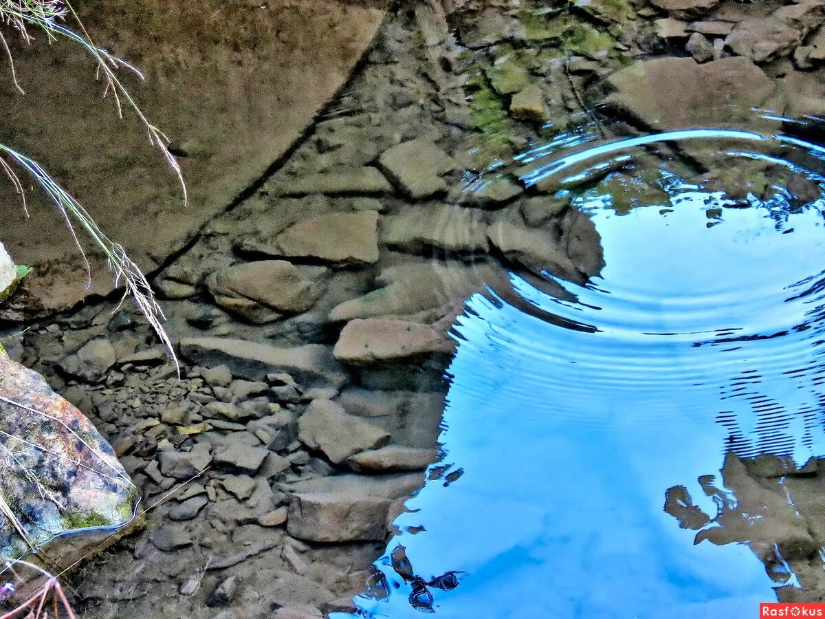 Красивые родники. Родник. Вода Родник. Родниковая вода. Самый красивый Родник.