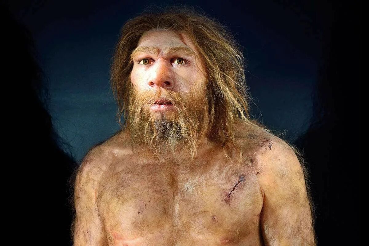 Неандертальцы предки кроманьонцев. Неандерталец (homo Neanderthalensis). Хомо сапиенс Денисовский человек неандерталец. Денисовцы антропология. Кроманьонец ( homo sapiens).