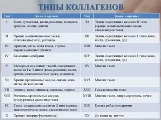 Коллаген 1 и 3 типа что это