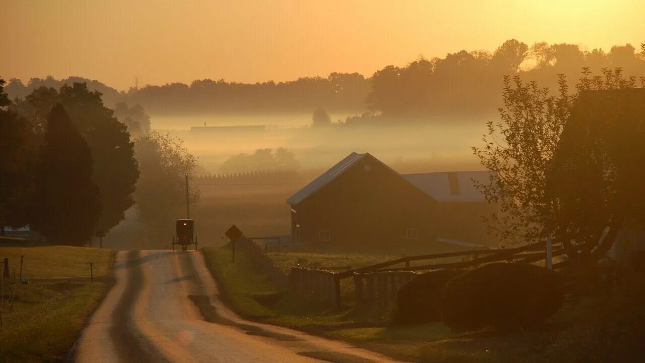 Туманное утро в деревне. Гроза из космоса. Рассвет в березовой роще. Над тихим городом. Ночное небо над городом.