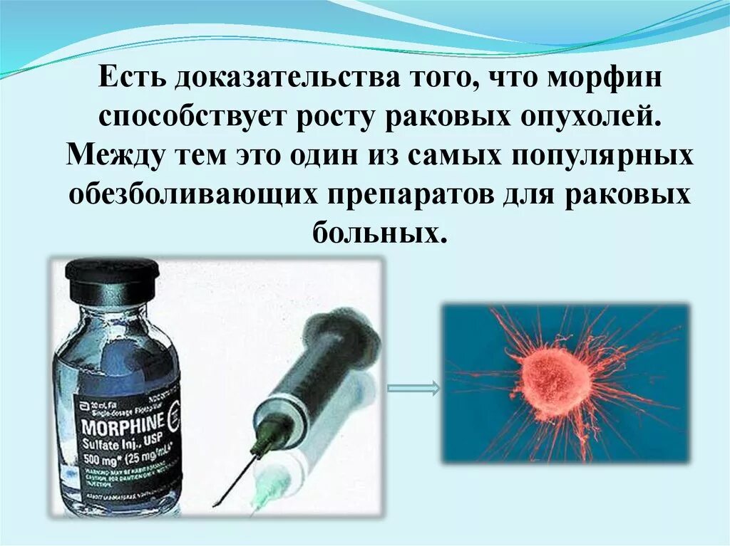 Влияние злокачественной опухоли на организм. Морфин для раковых больных. Морфин презентация. Метилксантины способствуют росту опухоли. Средства вызывающие рак