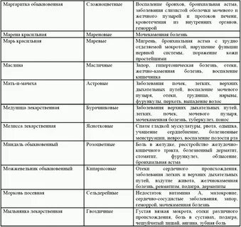 Магические свойства эфирных масел