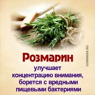 Травяной как правильно пишется