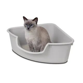 Для кошачьего туалета для котят