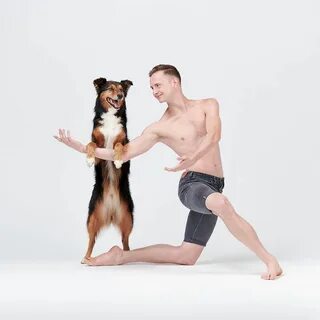 Dogs dance