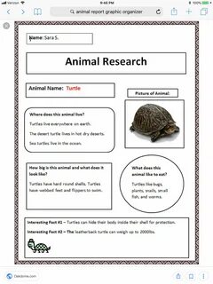 4th grade animal research project example