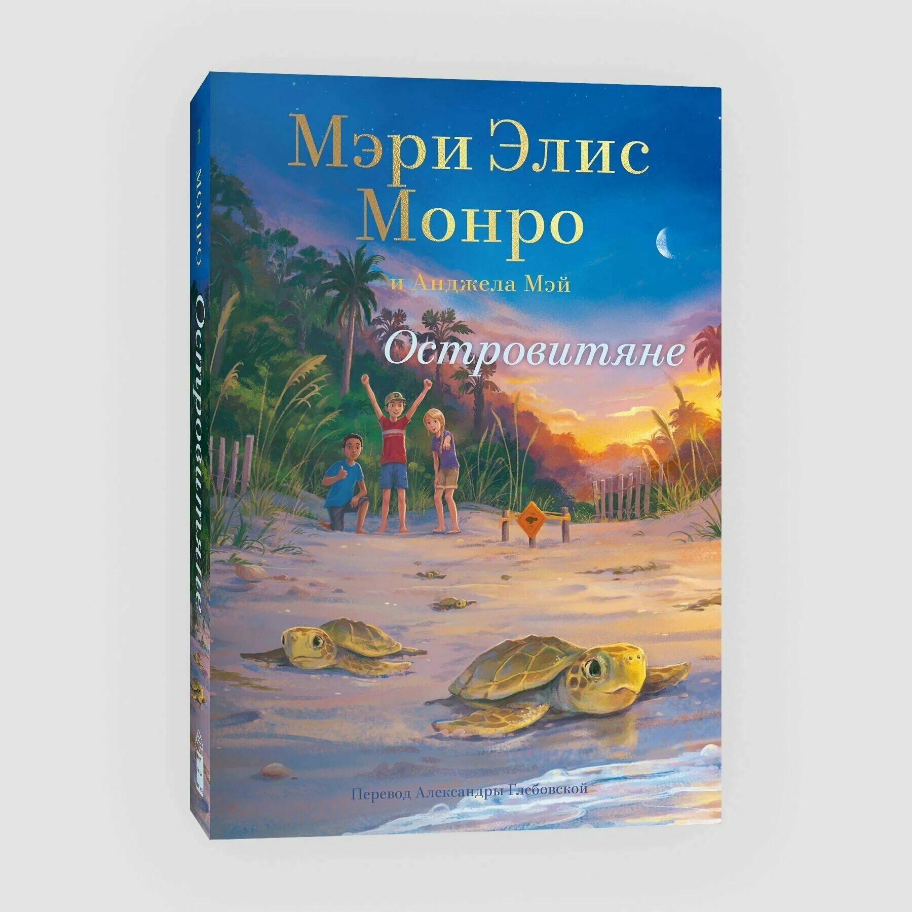 Островитяне автор. Островитяне книга для детей. Островитяне лесков. "островитянин". Островитяне обложка книги.