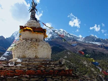 Nepal denmark перевод