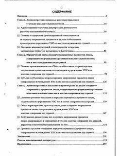 Другое лицо содержание