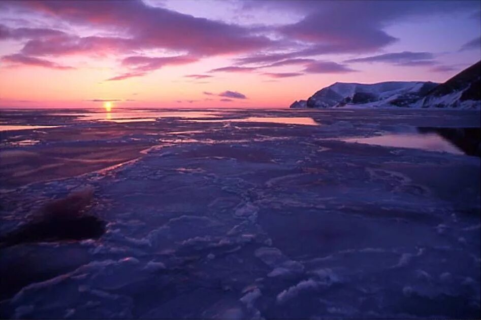 Какой бассейн берингова моря. Берингово море. Северный Ледовитый океан Берингово море. Чукотка Северный Ледовитый океан. Чукотское море Северный Ледовитый океан.