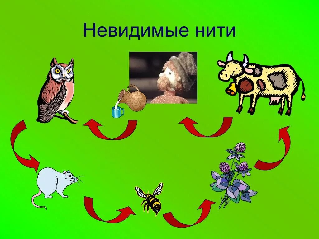 Связи с помощью моделей. Невидимая нить. Модель невидимых связей в природе. Модель невидимые нити 2 класс. Неви димые нитии в приррде.