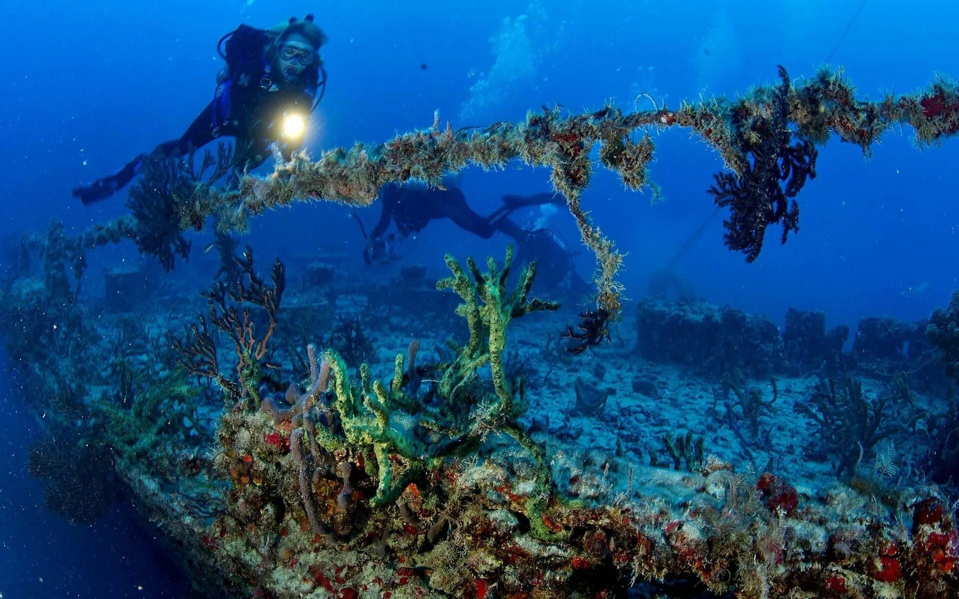 Мир подводной глубине. Сенот Ангелита Мексика. Коралловый риф Флорида. Искусственный риф корабли затонувших. Затонувшие корабли в Атлантическом океане.