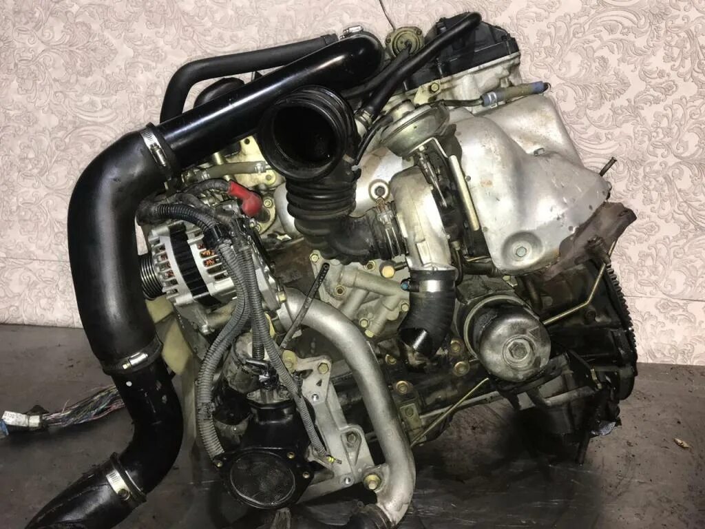 мотор zd30. мотор zd30 nissan elgrand. Zd 30 дизельный. мотор зд 30. двигатель ниссан патрол zd30.