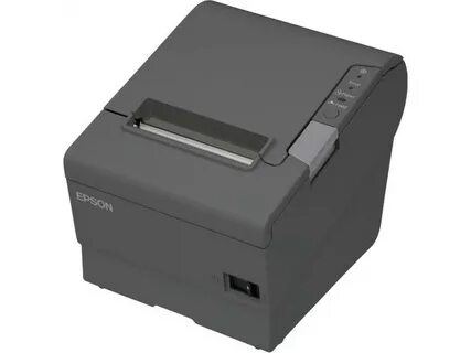 C 31