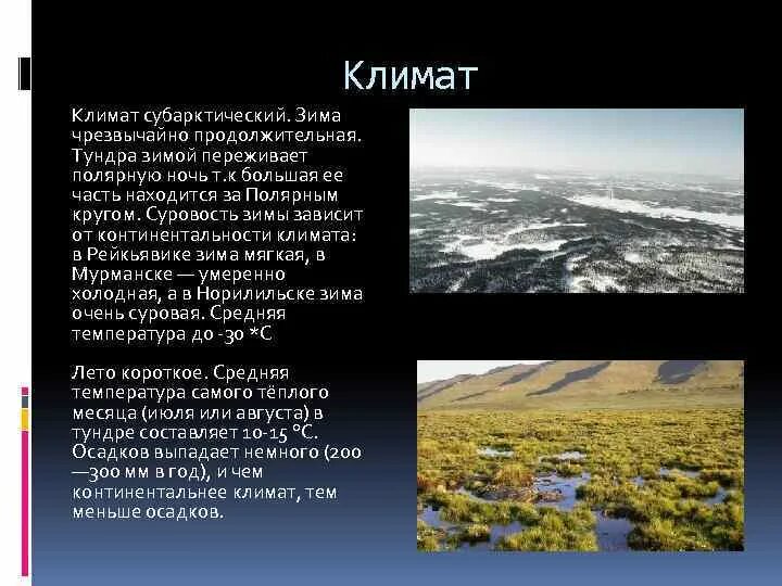 Климат тундры в России. Климат тундры летом и зимой. Осадки в тундре. Климат тундры зимой.