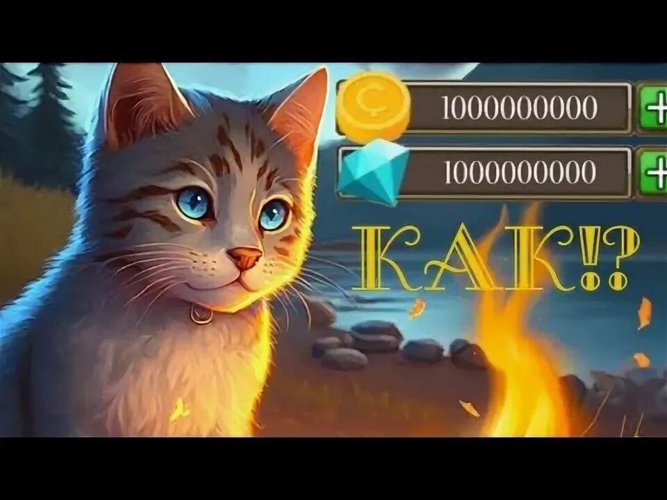 Взлома мой кот