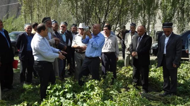 Погода в басманда на 10 дней. Басманда Таджикистан. Пагода Таджикистан басманда. Деваштич басманда. Пагода кишлак басманда.