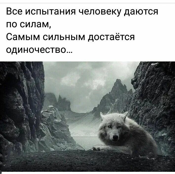 Них а кому то придется. Лишь тот способен добрым быть. лишь тот умеет добрым быть кому пришлось от злости выть. лишь тот способен добрым быть кому пришлось. лишь тот способен добрым быть кому пришлось от злости выть автор.